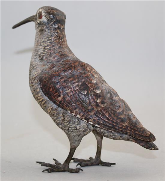 A late 19th / early 20th century Austrian cold painted bronze woodcock, 7in.